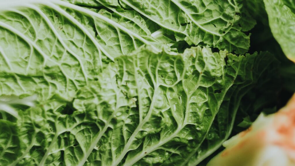 Qual a importância de se manter uma alimentação saudável?